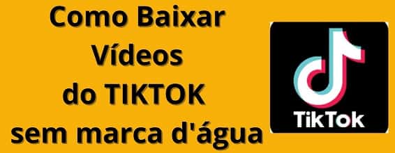 baixar vídeo do tiktok usando o Snaptik